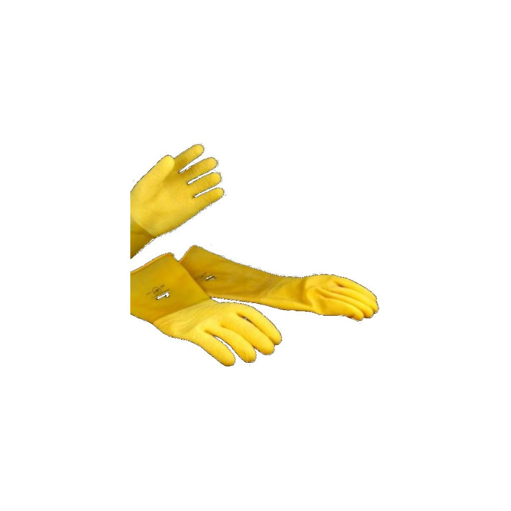 SURGICAL GLOVES IN LATEX -...