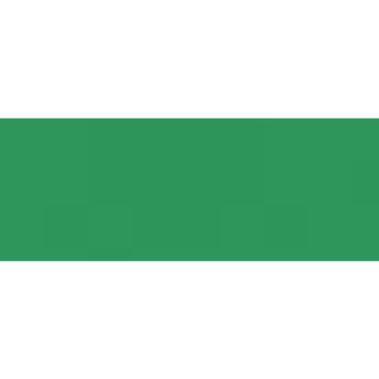 W&N "EXTRAFINE DESIGNERS" GOUACHE art.692 - 14 ml tube - Veronese Green - gr.3