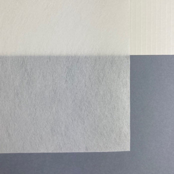 POLYESTER-VLIES "BONDINA" 10x1 m