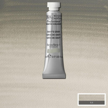 ACQUERELLO EXTRAFINE W&N -tubo 5ml-art.217 Grigio di Davy_g.1