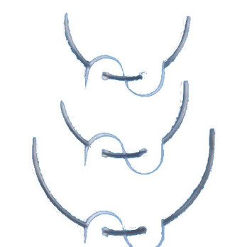 AGHI DIRITTI, CURVI E DARNERS