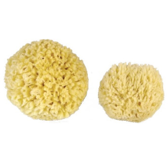 SMALL NATURAL SPONGE
