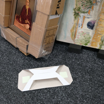 L_TRAP - PHOTOLUMINESCENT INSECT TRAP (5 pcs.)