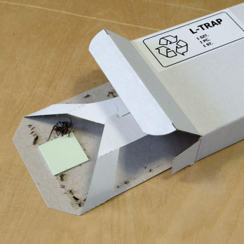 L_TRAP - TRAPPOLA PER INSETTI AD ATTRAZIONE FOTOLUMINESCENTE (5 pz)