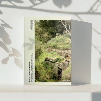 Livre: RUDERI E VEGETAZIONE E.Morezzi_T.Vagnarelli_L.Borgioli